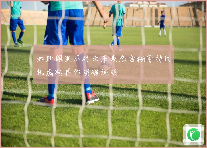 加斯佩里尼对未来表态含糊等待时机成熟再作明确说明